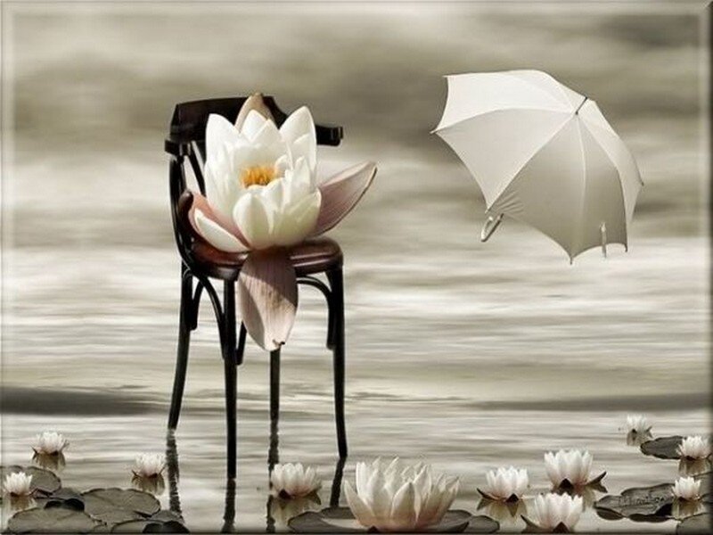 Lotus Flower on Chair