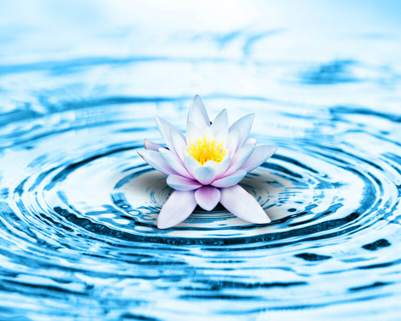 Lotus Flower on Water — Blue
