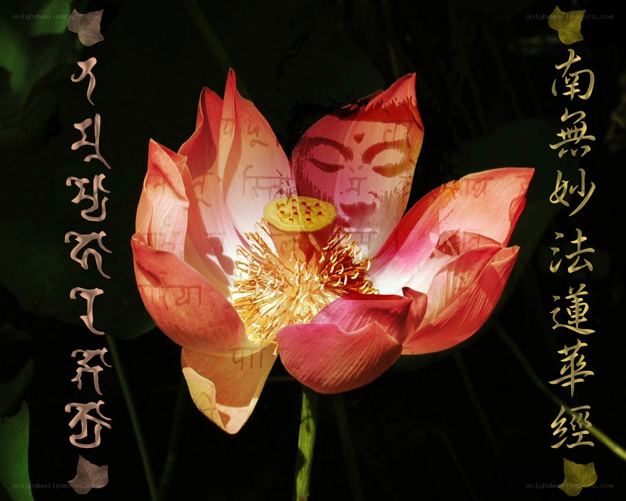 Lotus flower with Buddha face and text