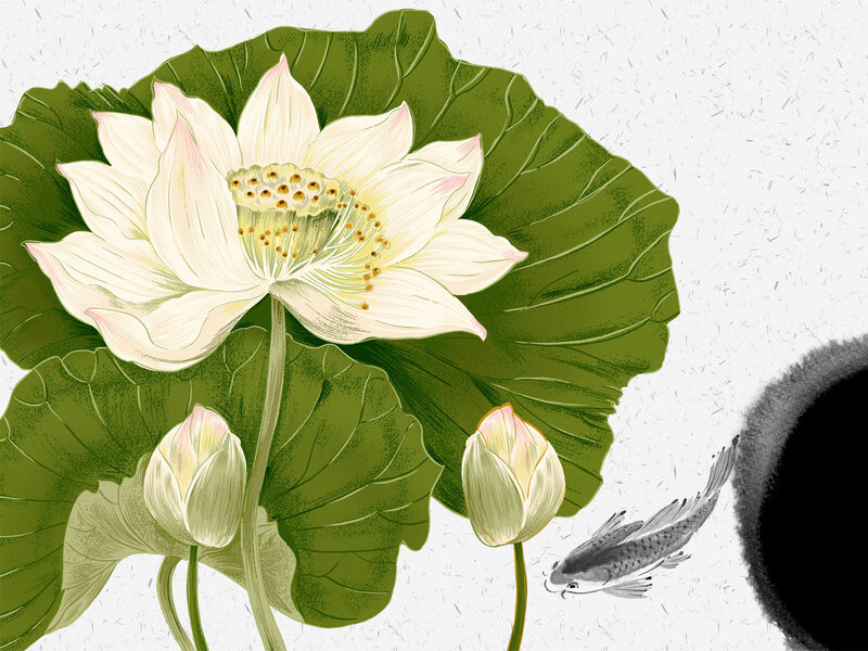 Lotus flower with koi fish