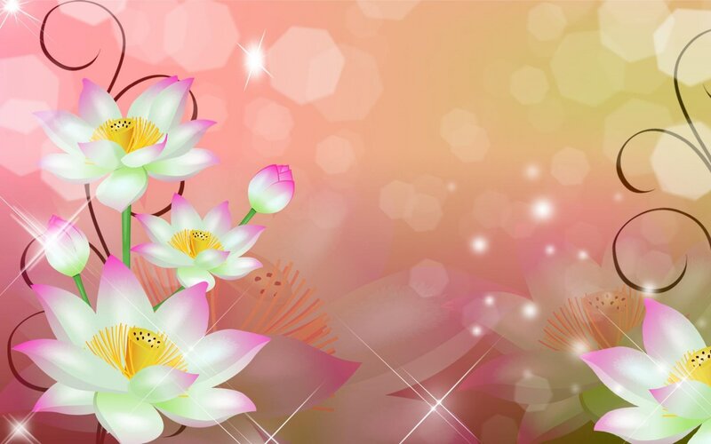 Lotus Flowers and Buds — Pink, Dreamy