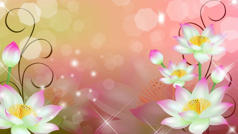 Lotus Flowers and Buds — Pink, Serene
