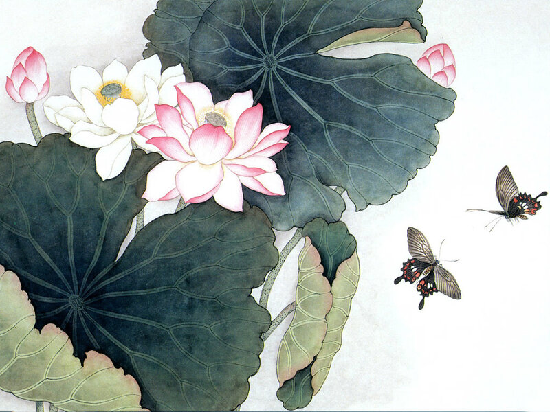 Lotus flowers and butterflies
