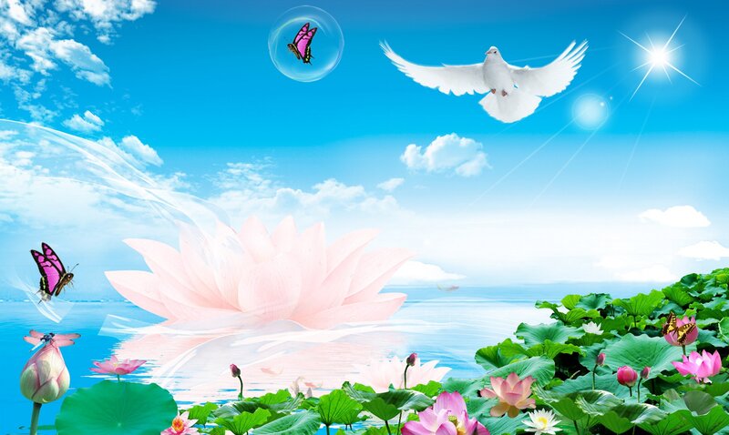 Lotus Flowers and Doves