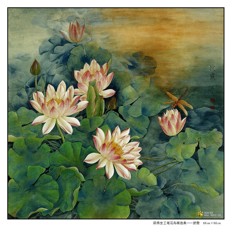 Lotus Flowers and Dragonfly