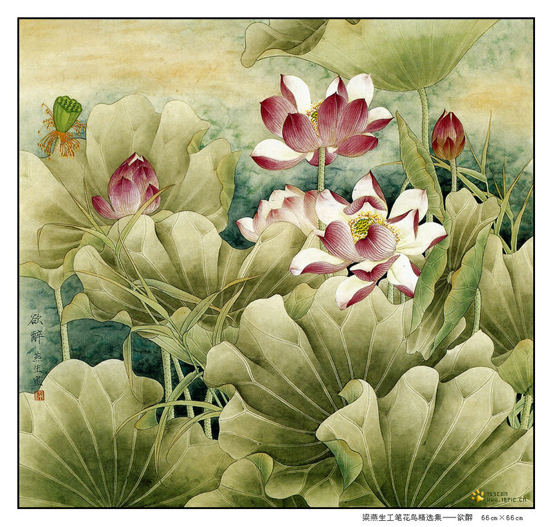 Lotus Flowers and Leaves — Green