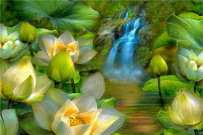 Lotus Flowers and Waterfall — Green