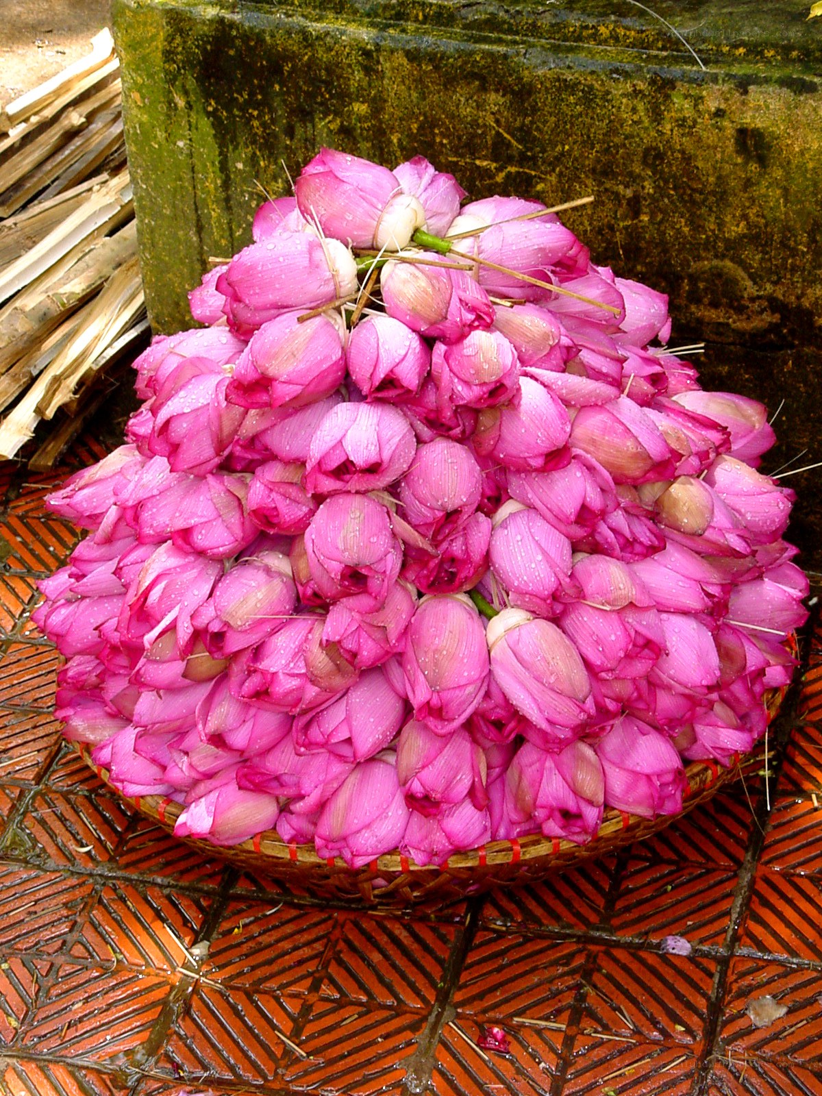 Lotus flowers in a basket