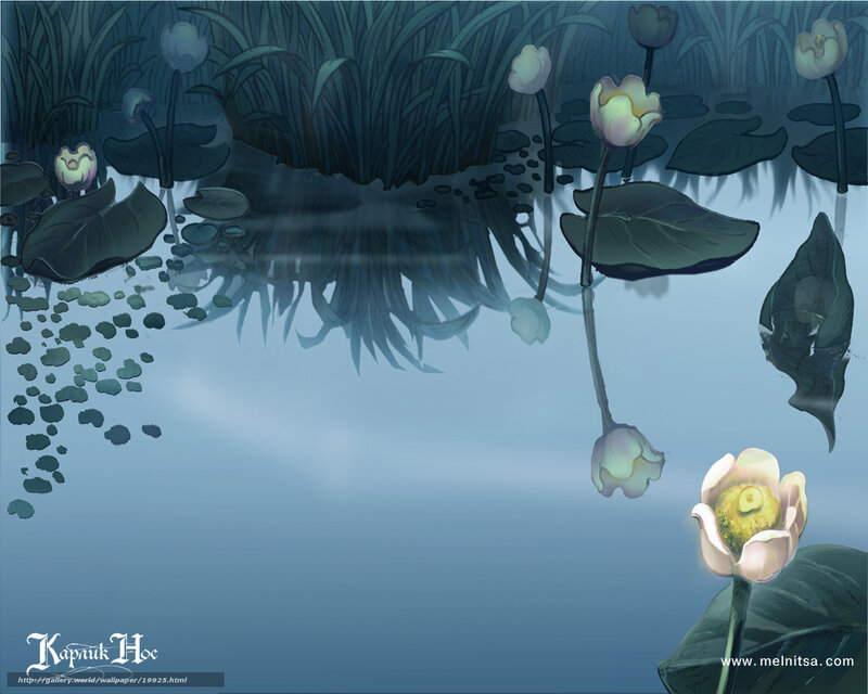 Lotus flowers in a pond