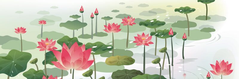 Lotus Flowers in Pond — Pink, Serene, Summer