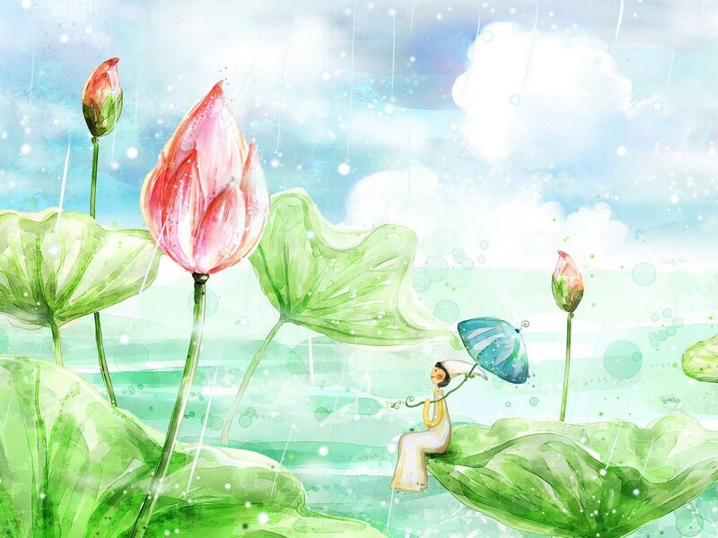 Lotus flowers in the rain