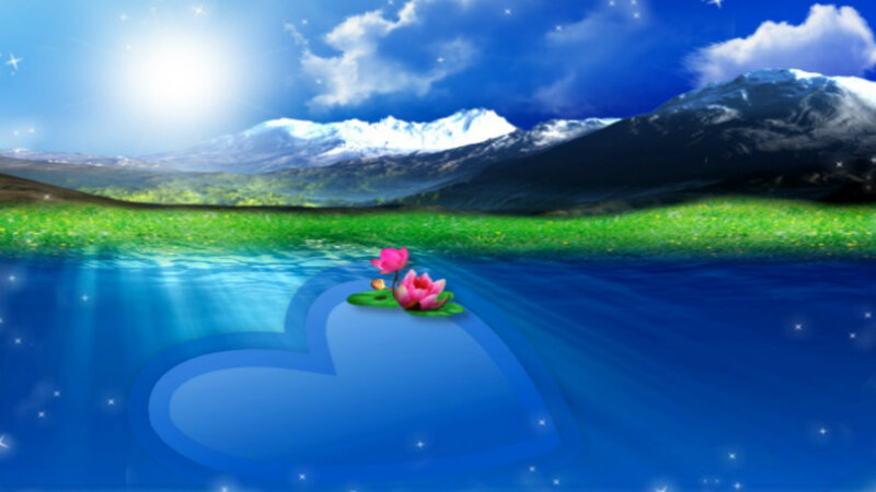 Lotus Flowers on Heart