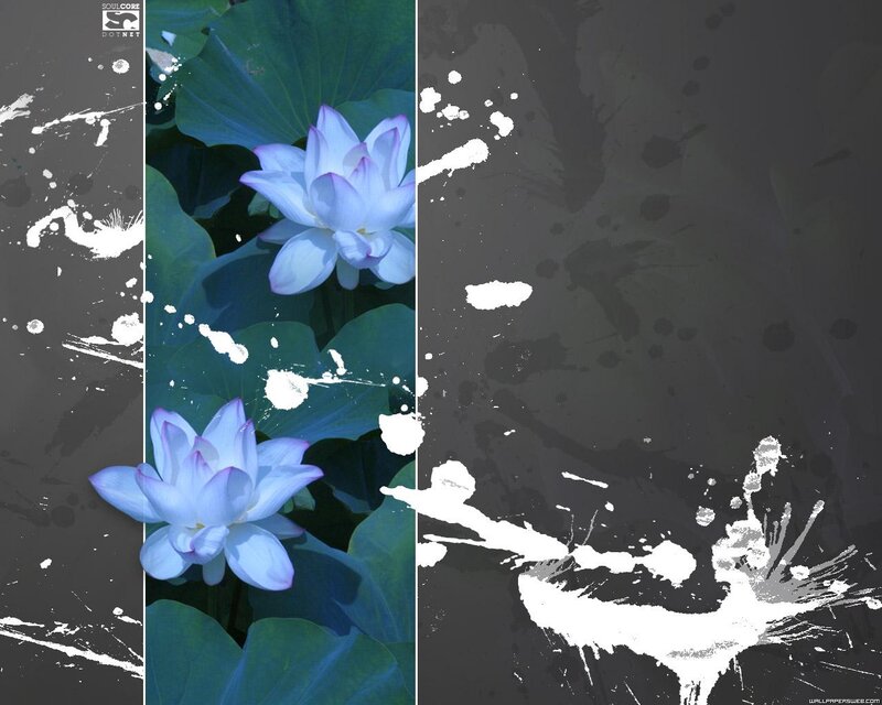 Lotus Flowers on Leaves