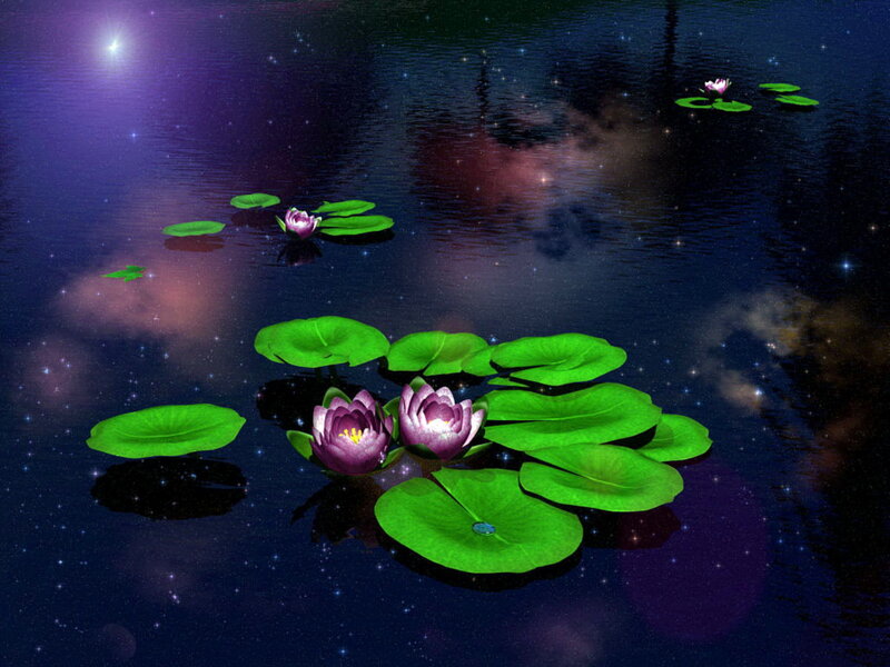 Lotus Flowers on Water — Green, Serene