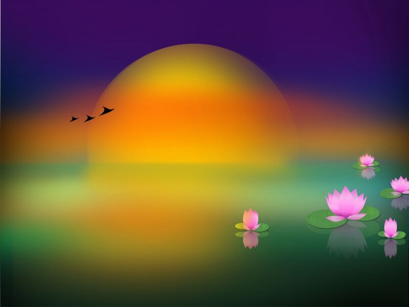Lotus Flowers on Water — Purple, Serene
