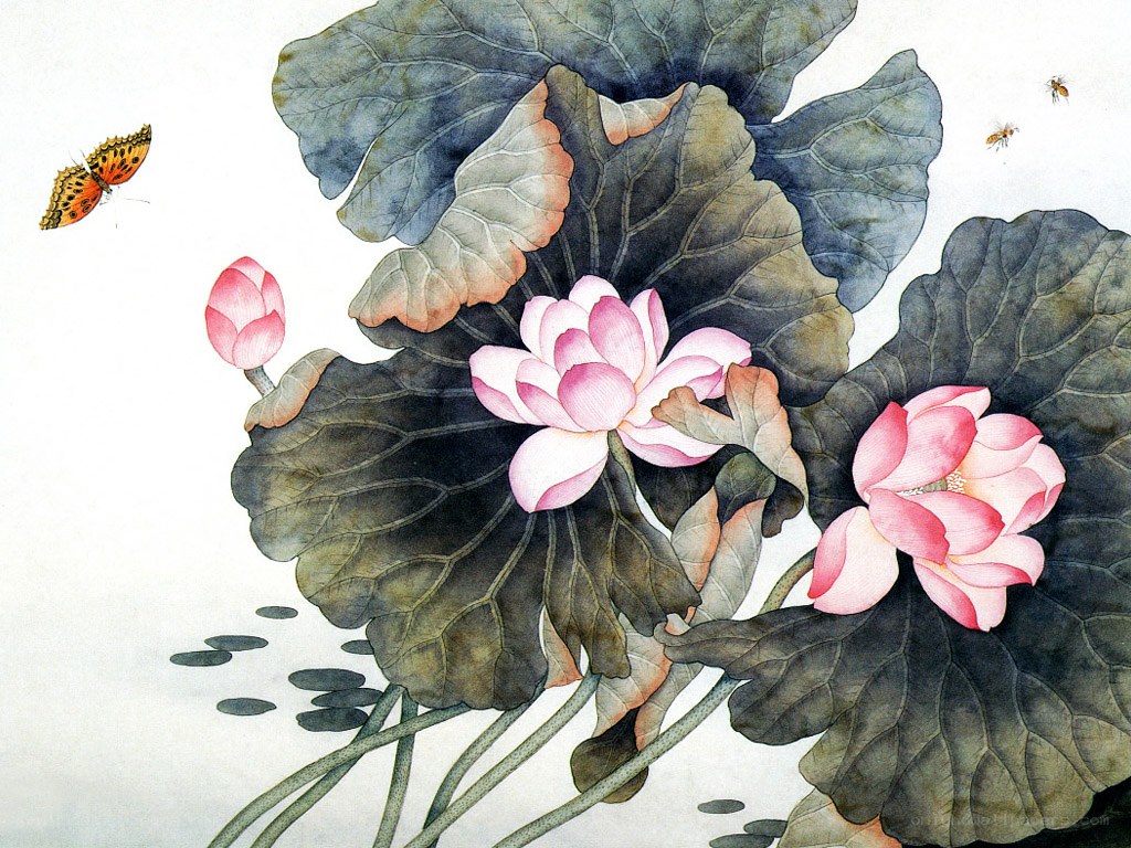 Lotus flowers with butterflies