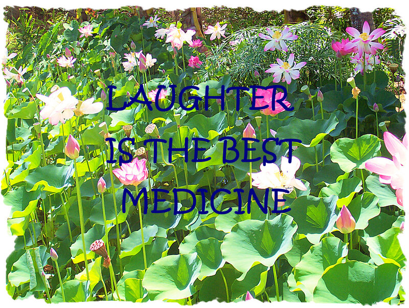 Lotus flowers with quote