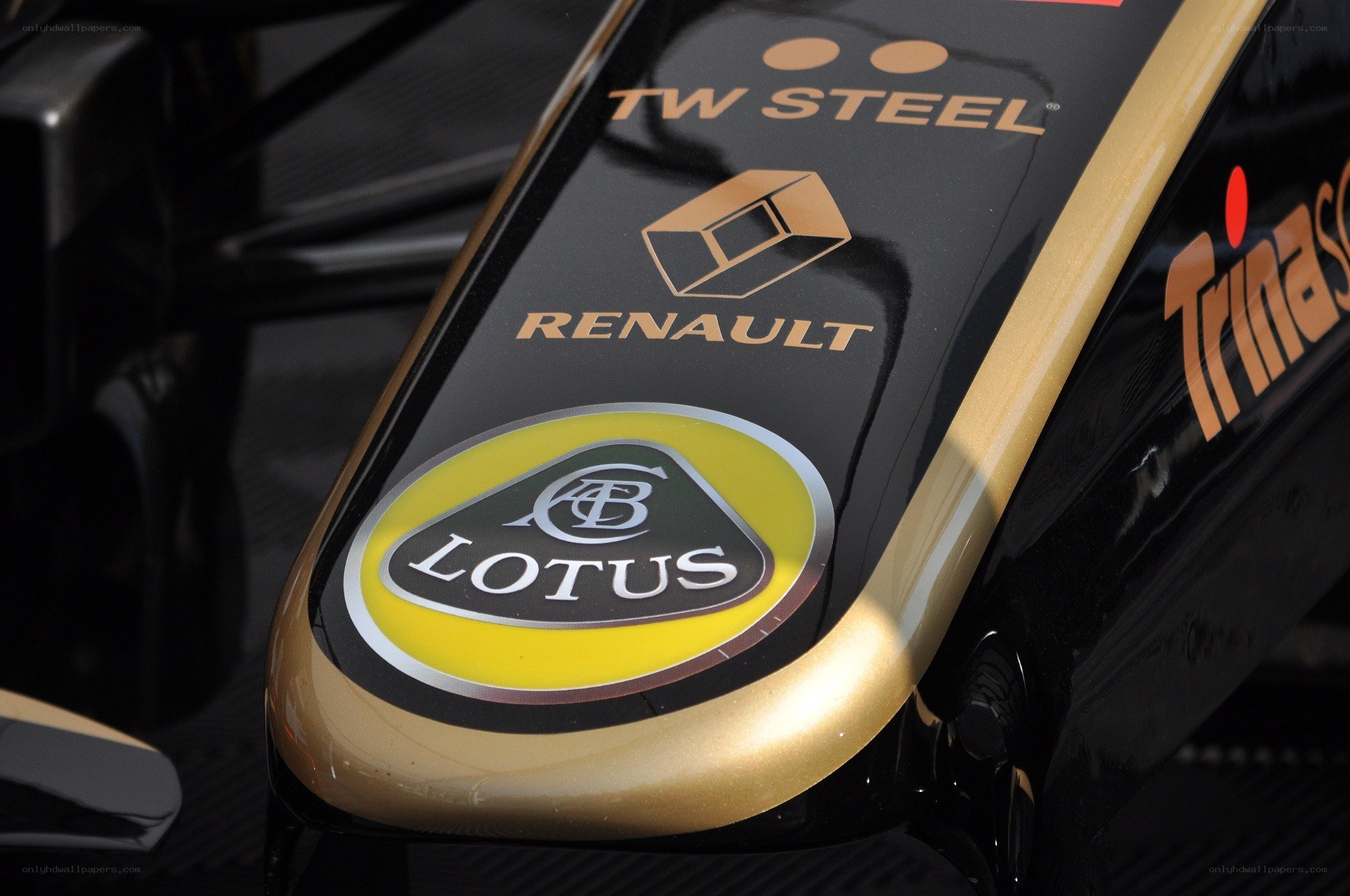 Lotus Formula 1 car branding