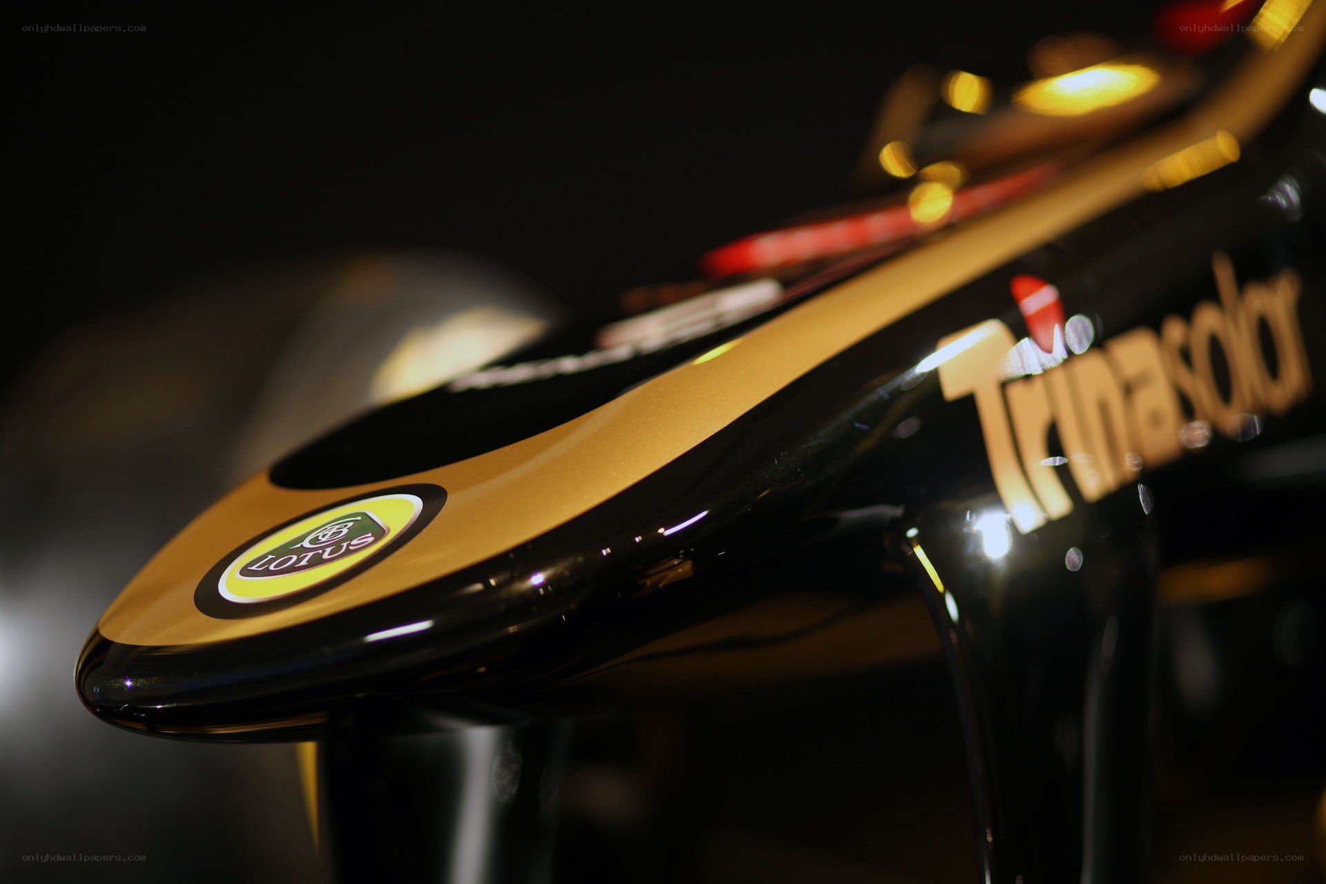Lotus Formula 1 car front wing