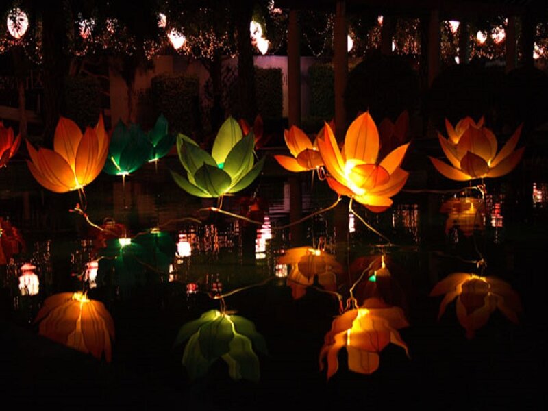 Lotus Lanterns on Water — Orange