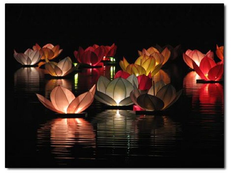 Lotus Lanterns on Water — Red