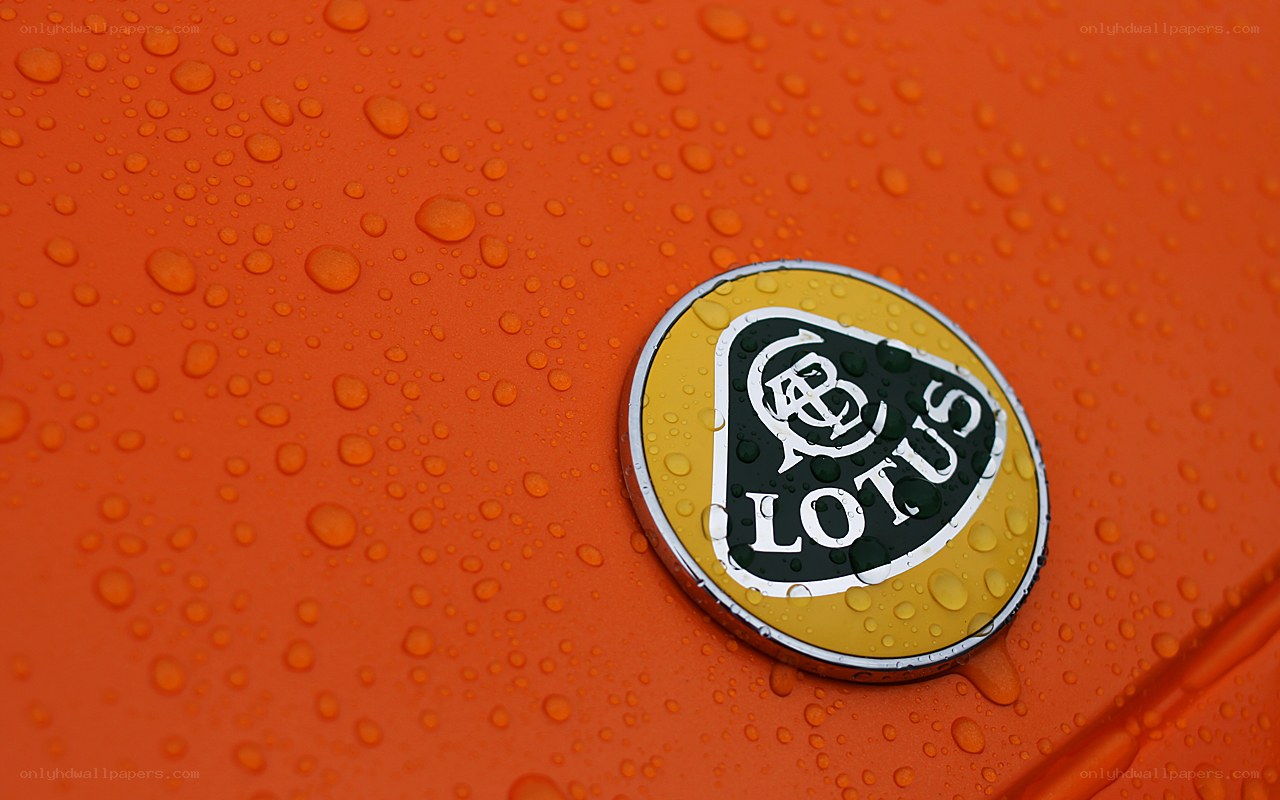 Lotus logo on wet orange surface
