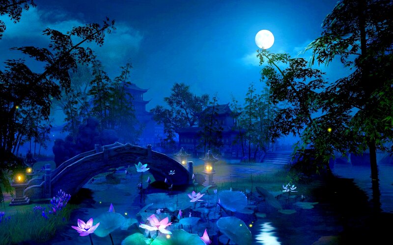 Lotus Pond at Night