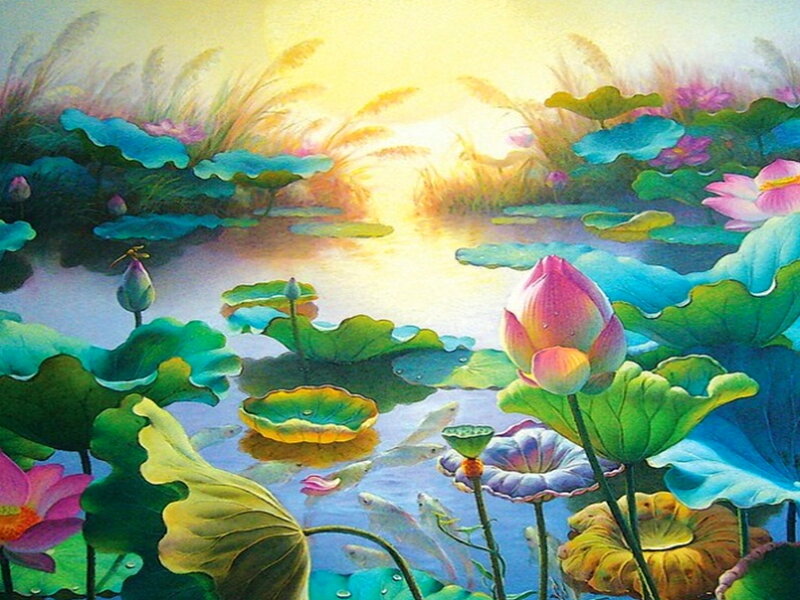 Lotus Pond at Sunrise