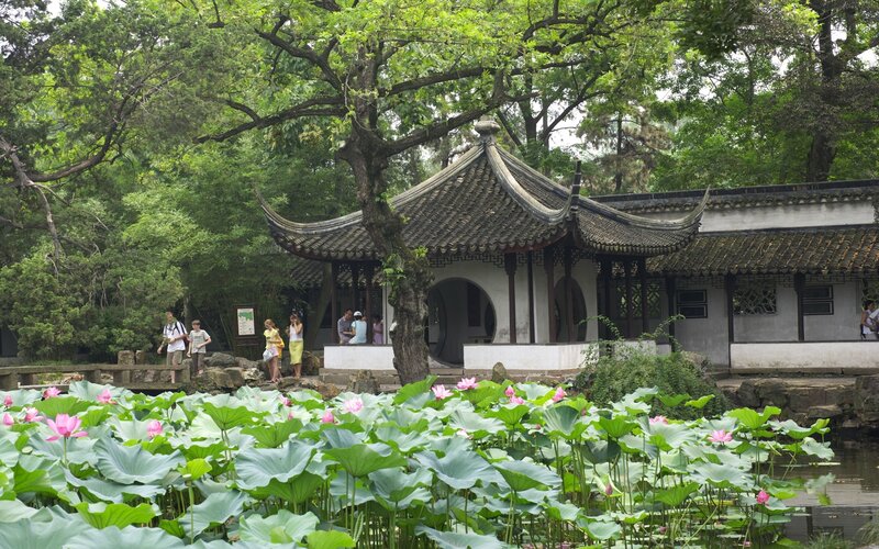 Lotus pond in a Chinese garden