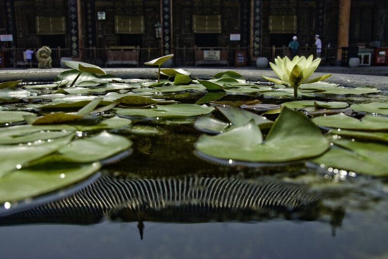 Lotus pond in a temple courtyard