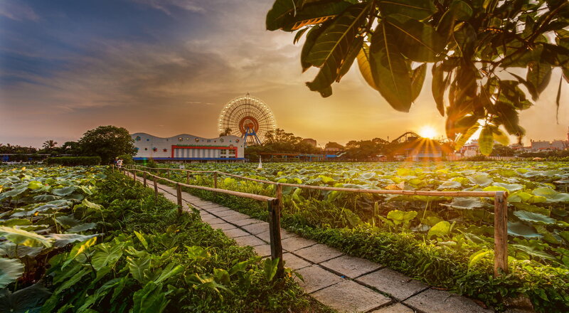 Lotus Pond with Ferris Wheel