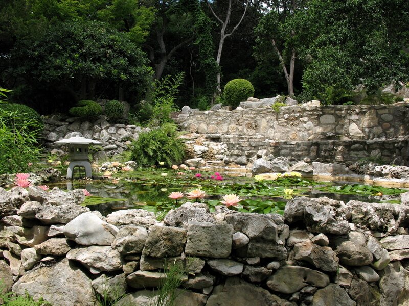 Lotus Pond with Lantern