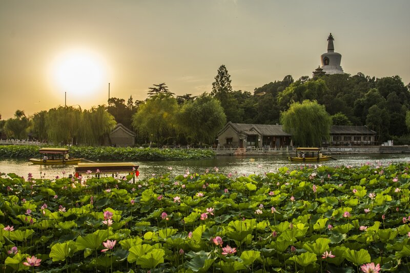 Lotus Pond with Pagoda — Green