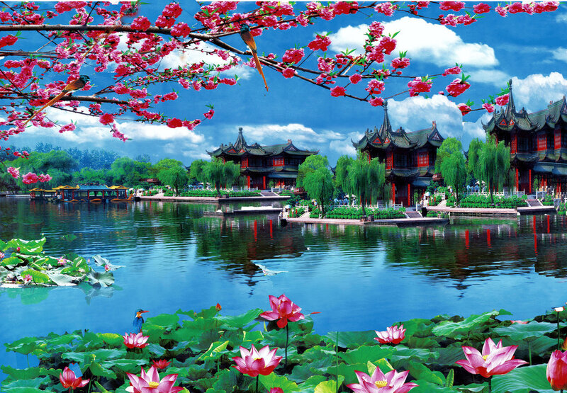 Lotus Pond with Pavilions