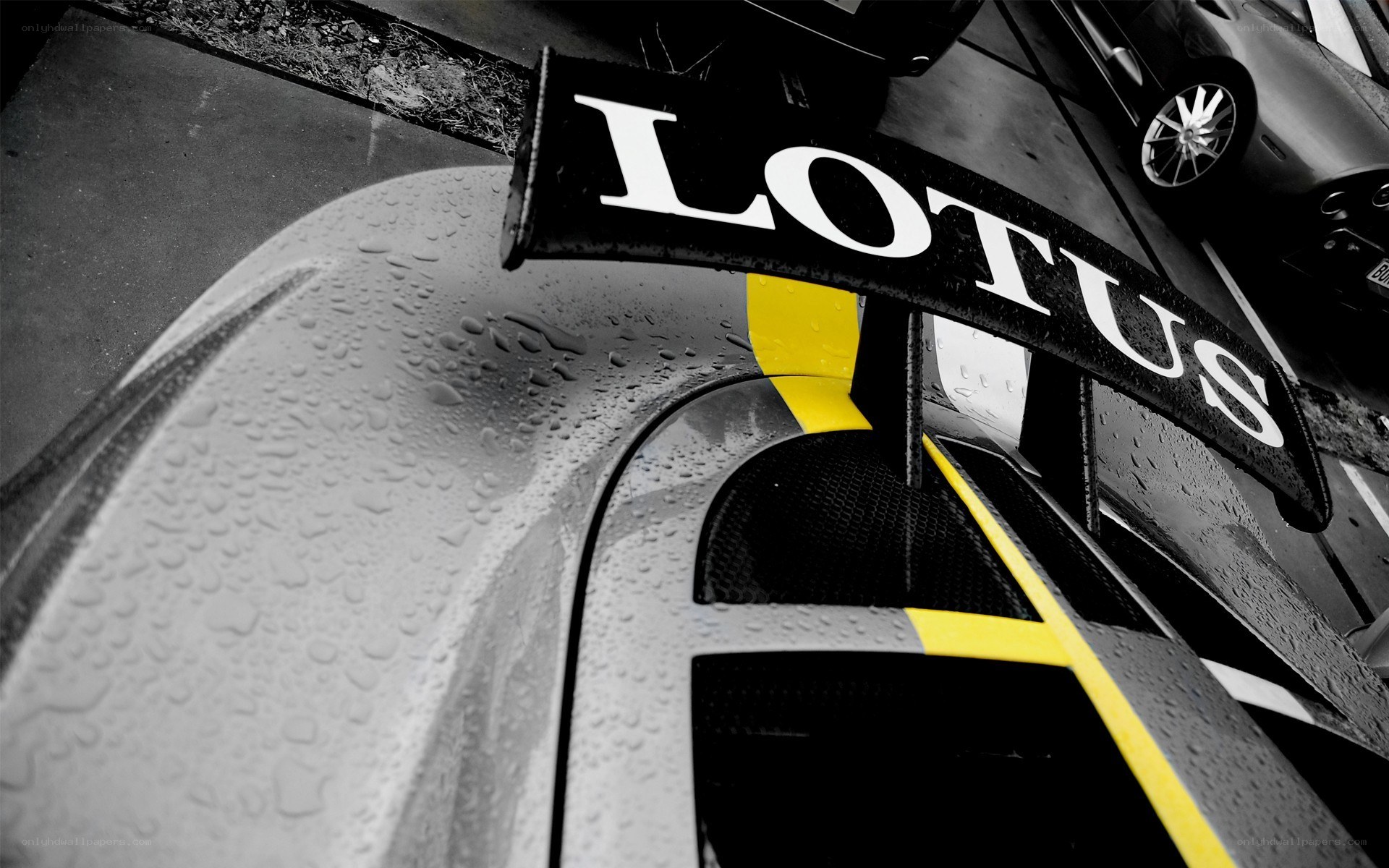 Lotus race car rear view
