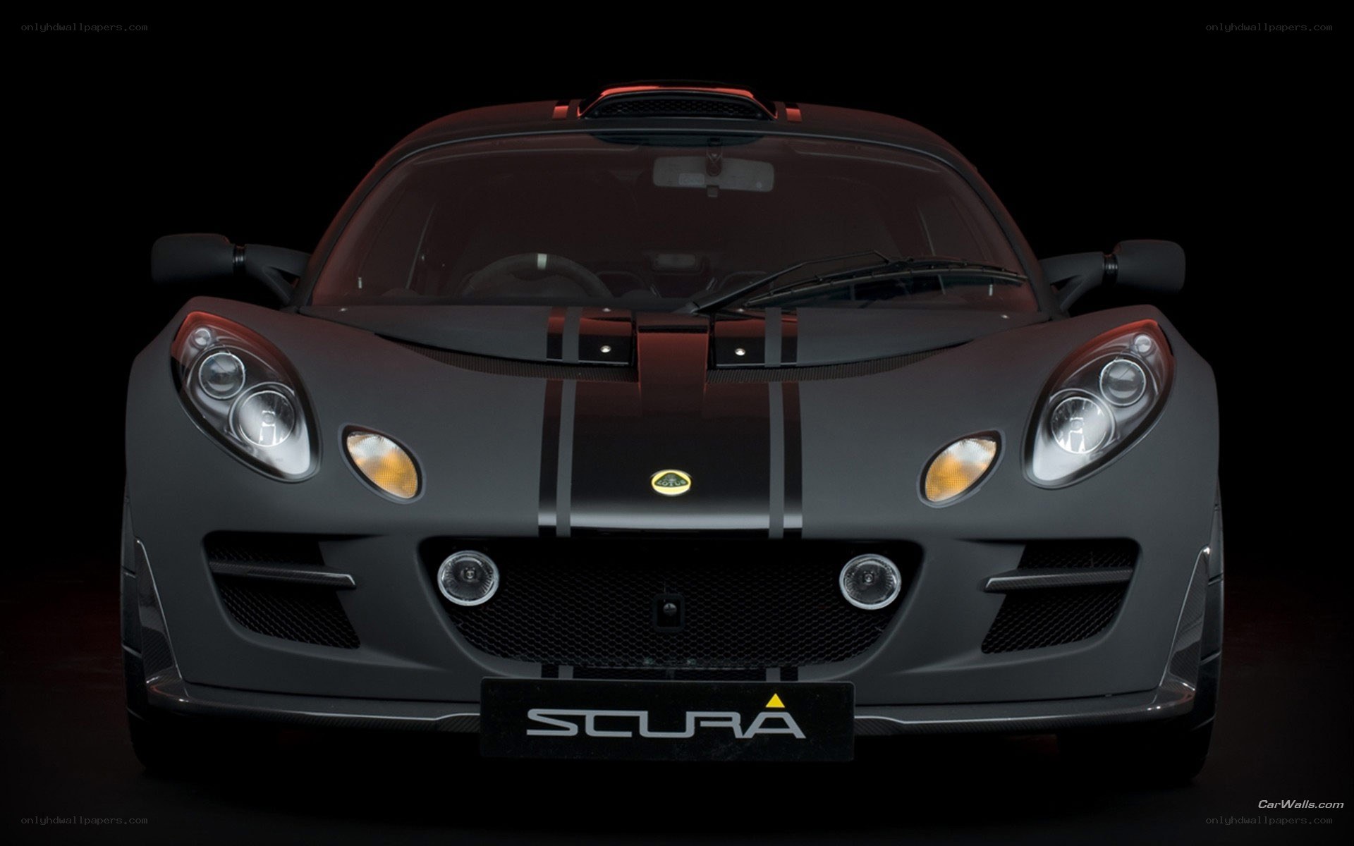 Lotus Scura front view