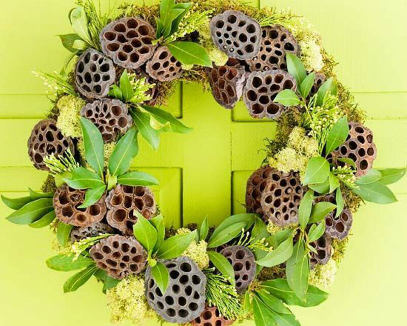 Lotus Seed Pod Wreath