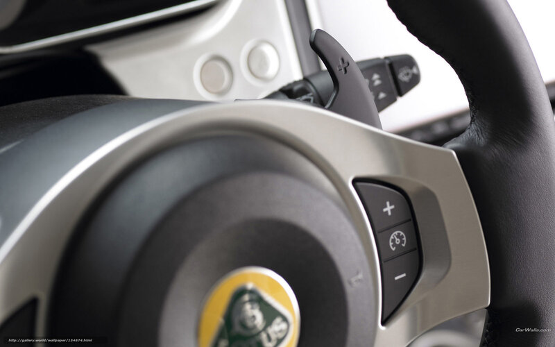 Lotus steering wheel controls
