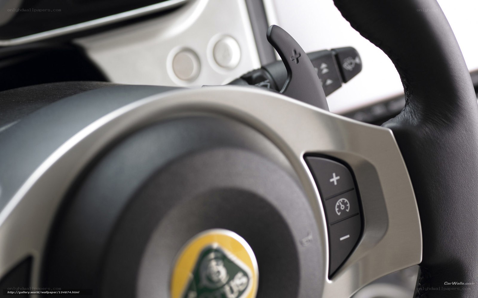 Lotus steering wheel controls