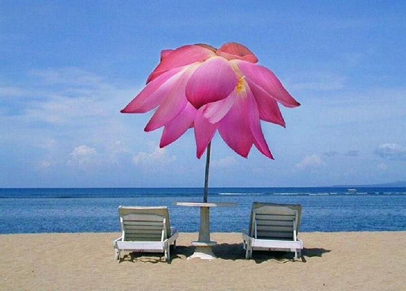 Lotus umbrella on beach