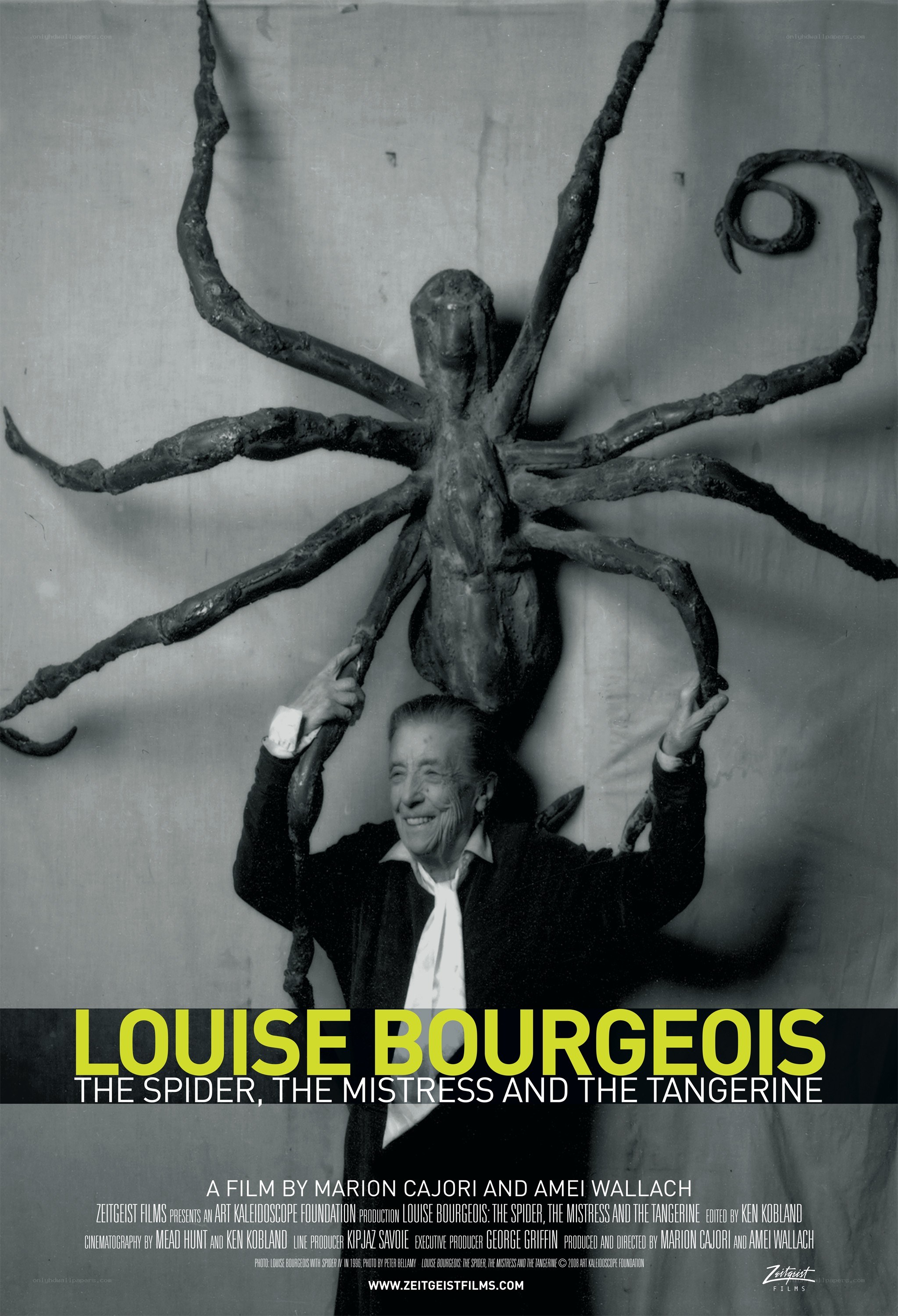 Louise Bourgeois: The Spider