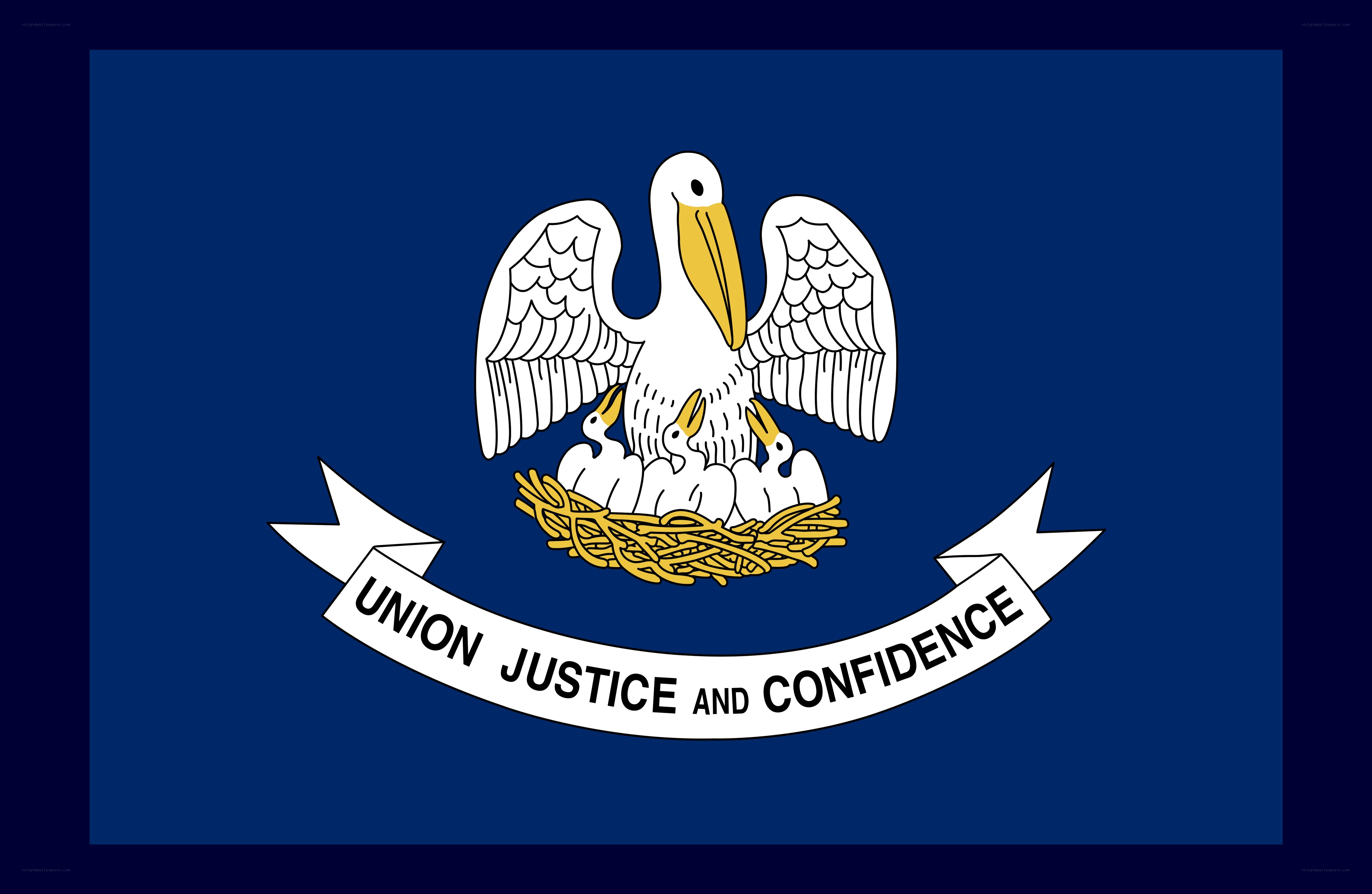 Louisiana state flag