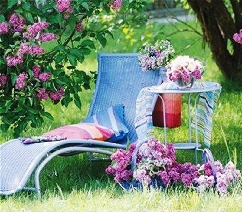 Lounge Chair in Garden