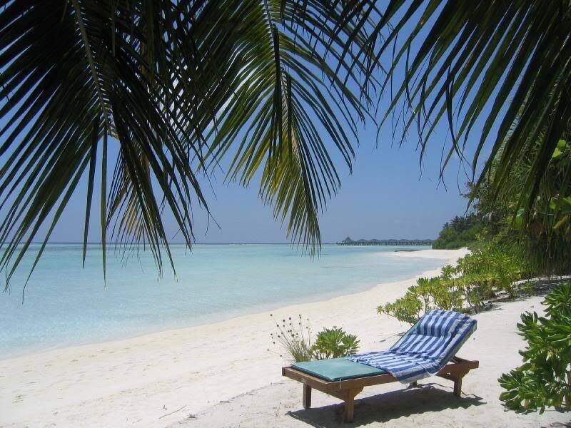 Lounge Chair on Beach — Blue, Serene