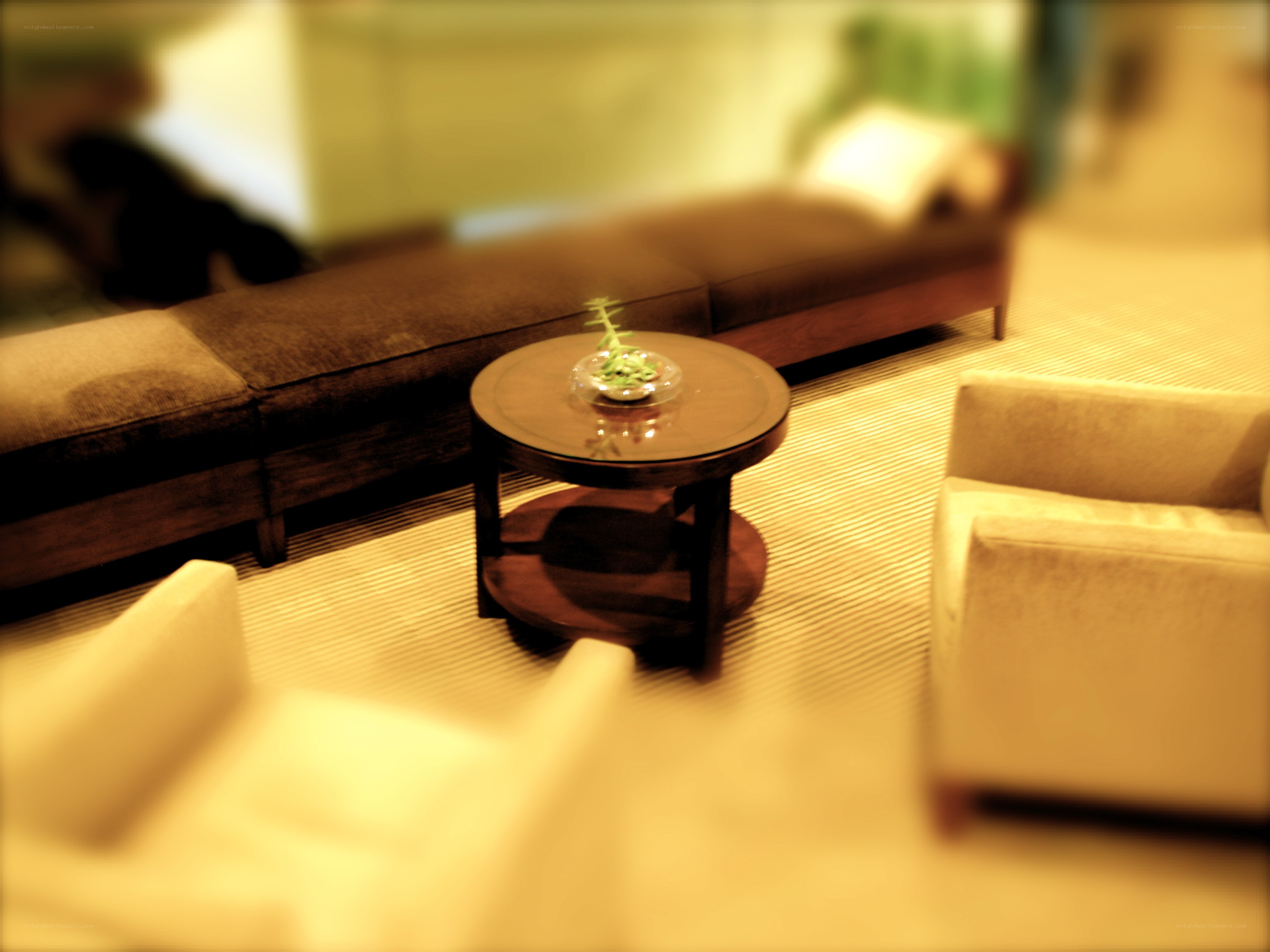 Lounge with coffee table