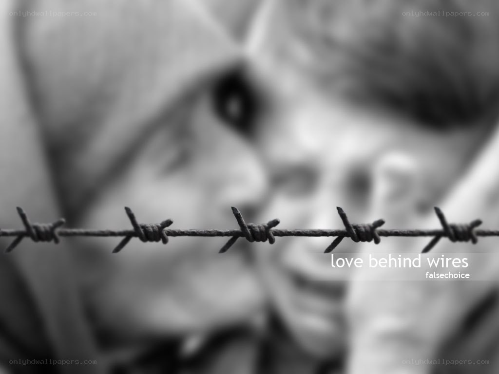 love behind wires