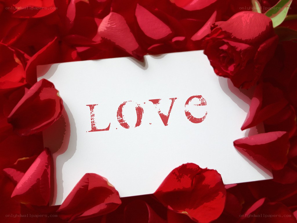 love card with rose petals