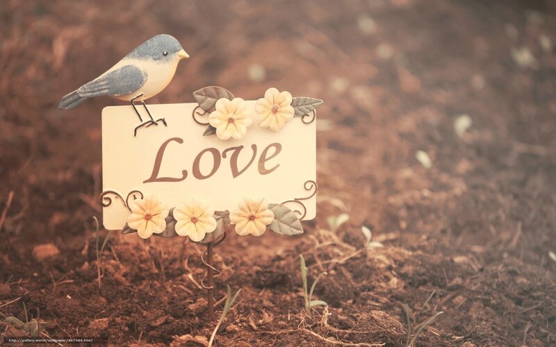 Love garden sign with bird