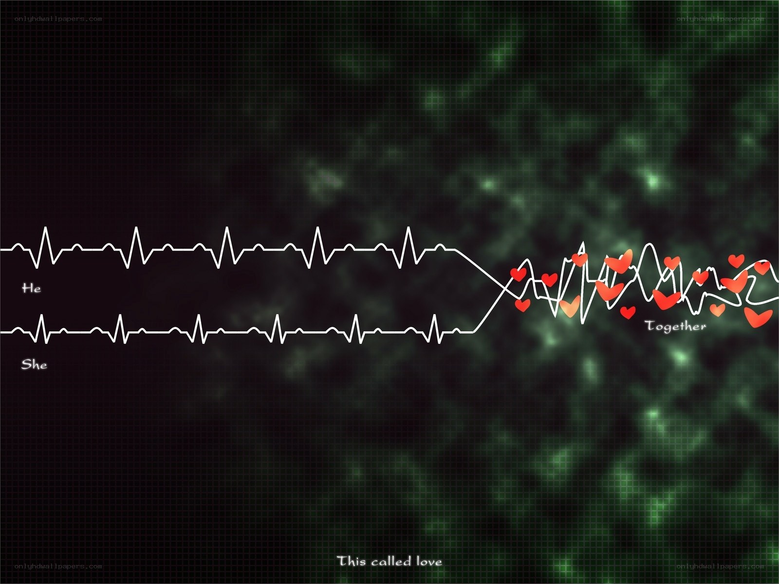 Love Heartbeat Connection
