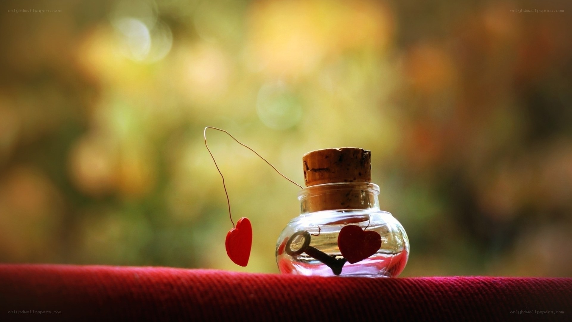 love in a bottle